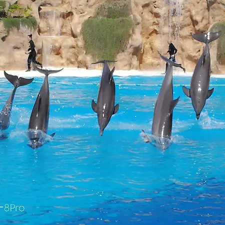 The Terrace On The Sea