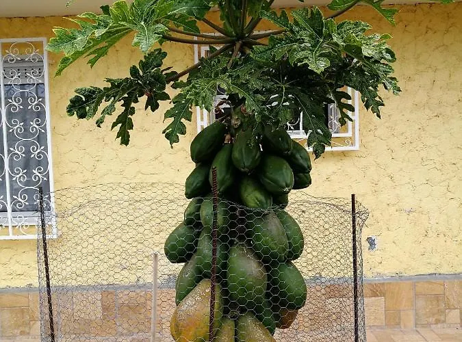 The Terrace On The Sea Appartement