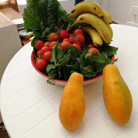 The Terrace On The Sea * Caleta de Interián