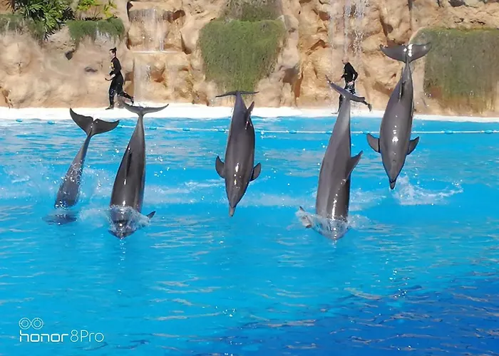 The Terrace On The Sea